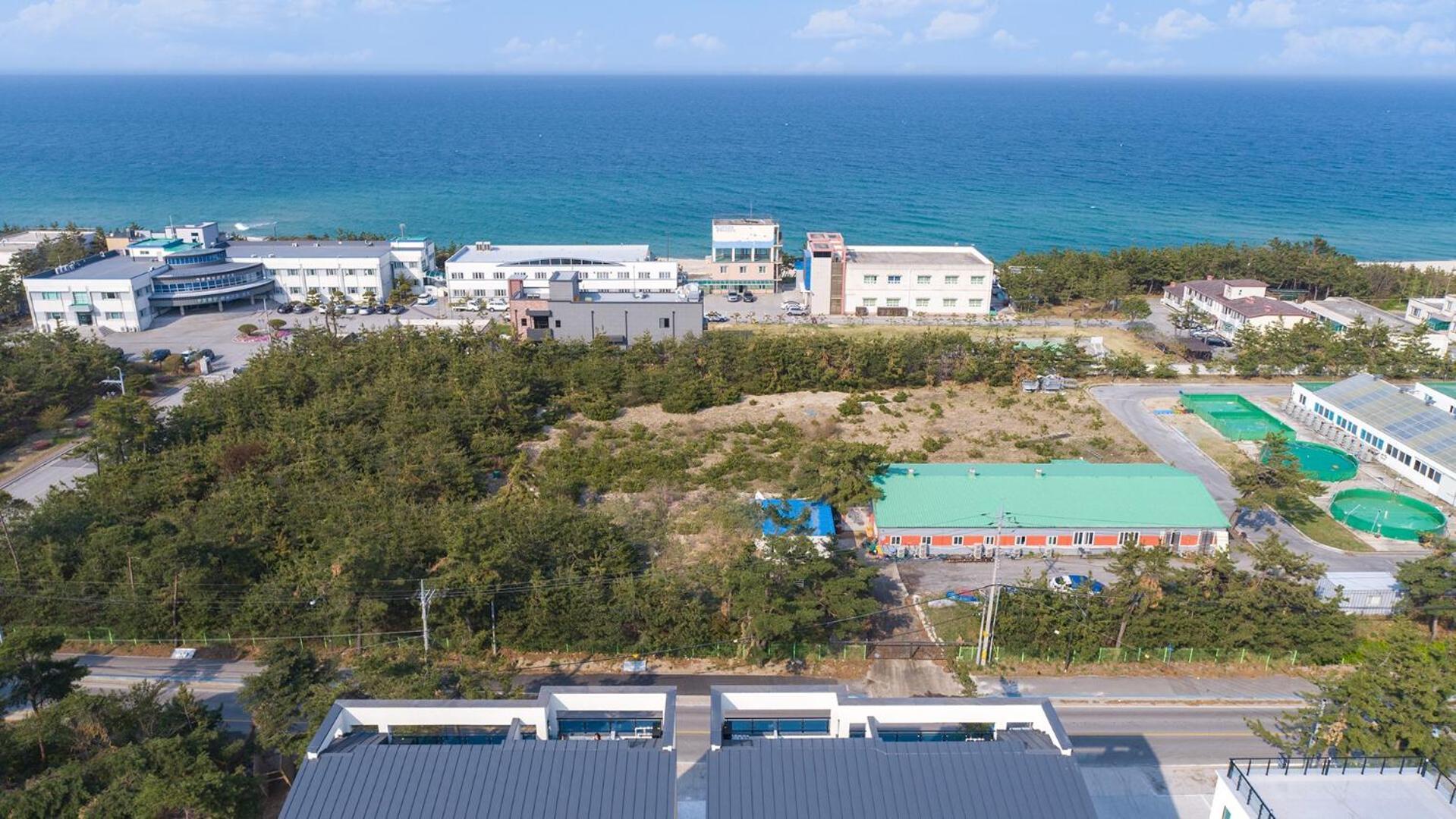 Gangneung Joeungot Poolvilla Exterior foto